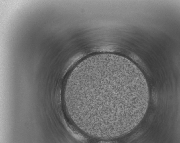 X0000080100534200612221741