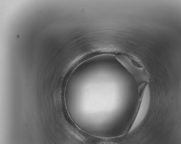 X0000080100535200612221741