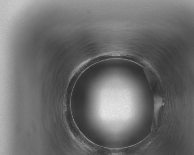 X0000080100536200612221741