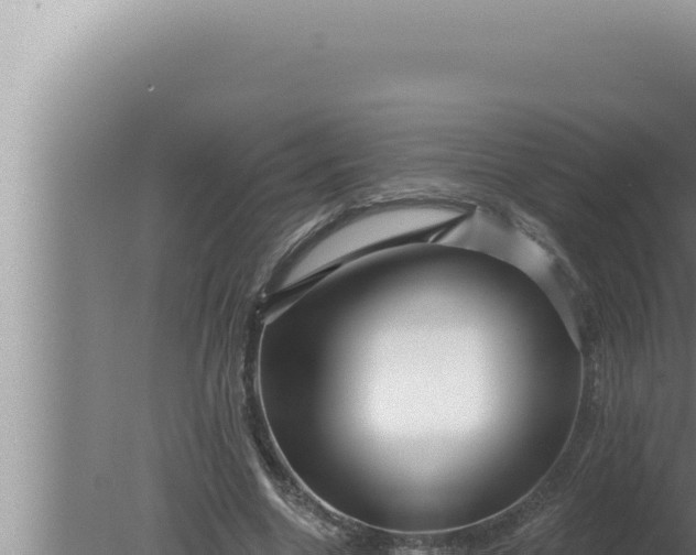 X0000080100538200612221741