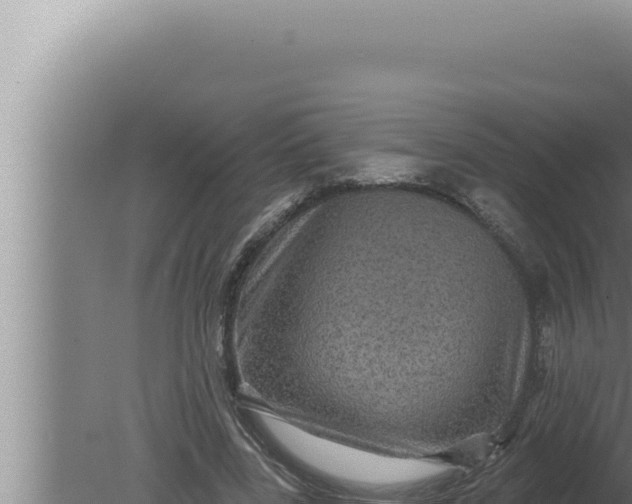 X0000080100539200612221741