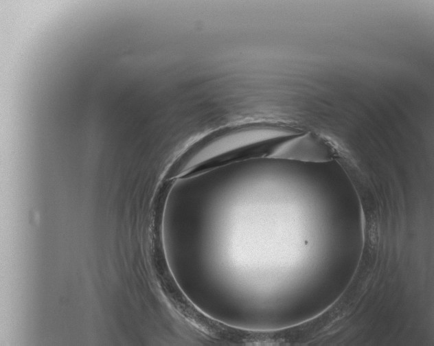 X0000080100540200612221741