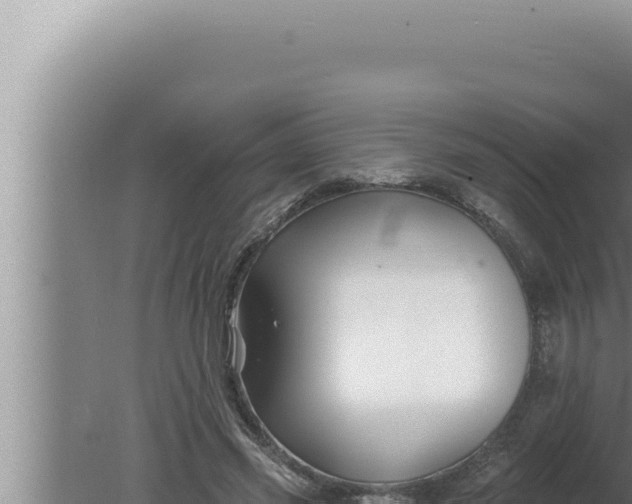 X0000080100541200612221741