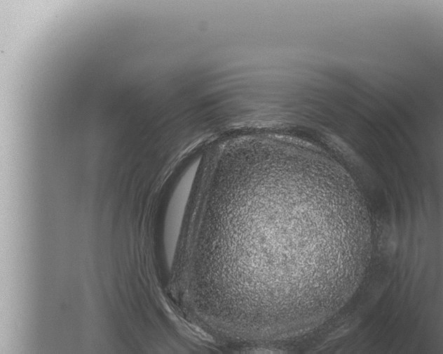 X0000080100542200612221741