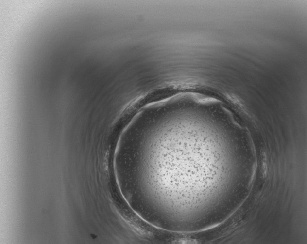 X0000080100543200612221741