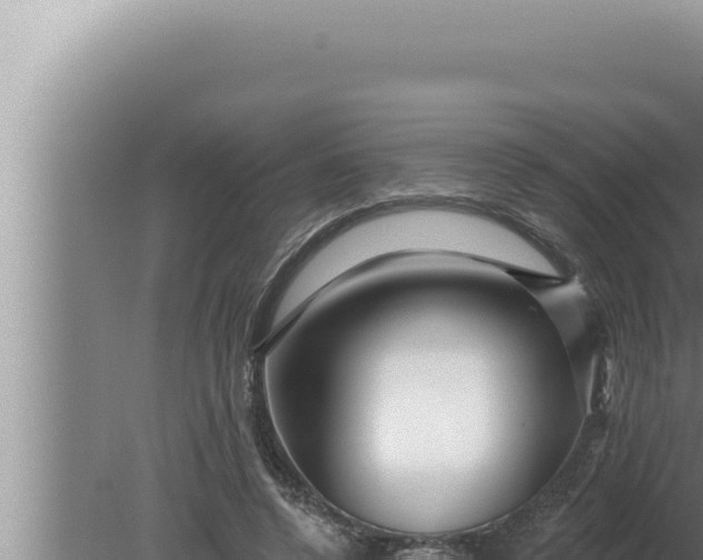 X0000080100544200612221741