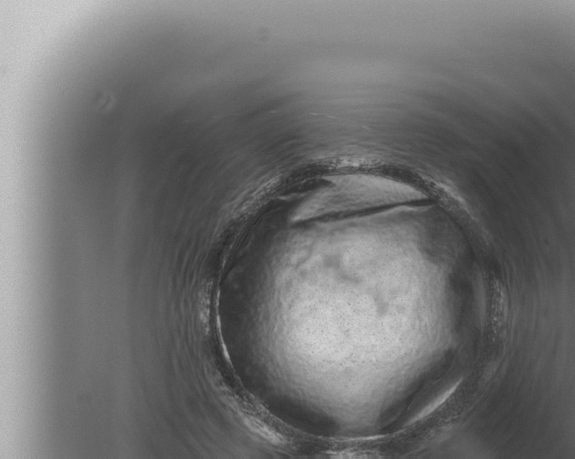 X0000080100545200612221741