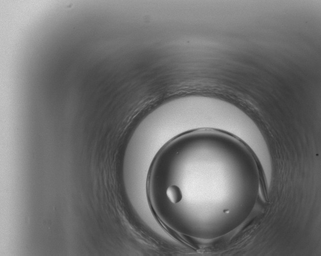 X0000080100546200612221741