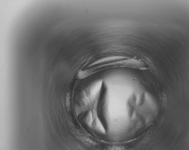 X0000080100549200612221741