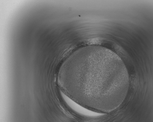 X0000080100550200612221741