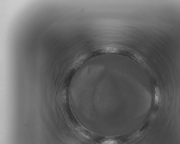 X0000080100551200612221741