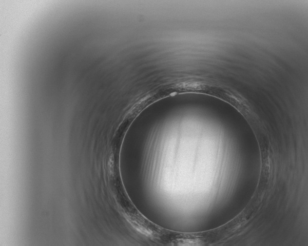 X0000080100552200612221741