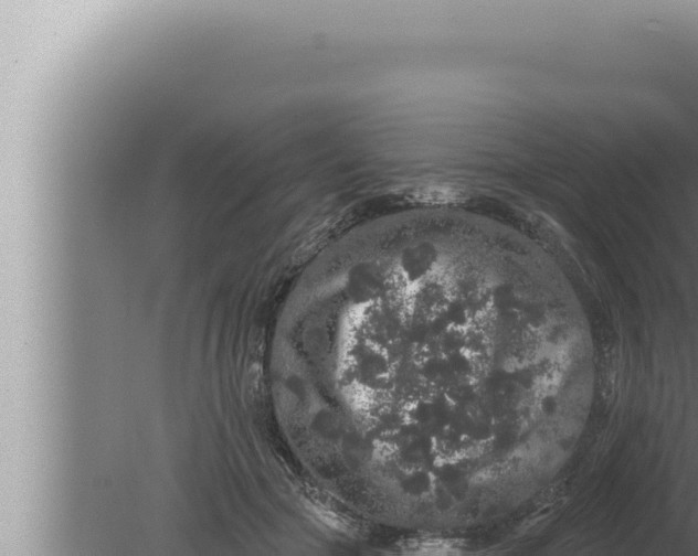 X0000080100553200612221741