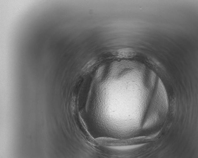 X0000080100554200612221741