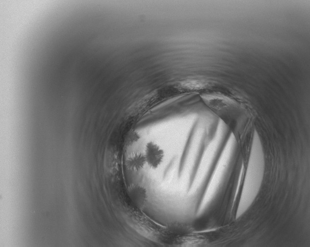 X0000080100555200612221741