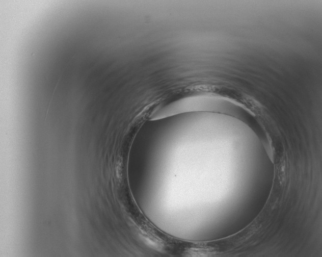 X0000080100556200612221741