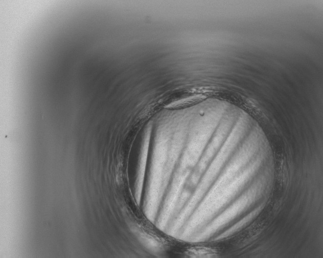 X0000080100557200612221741