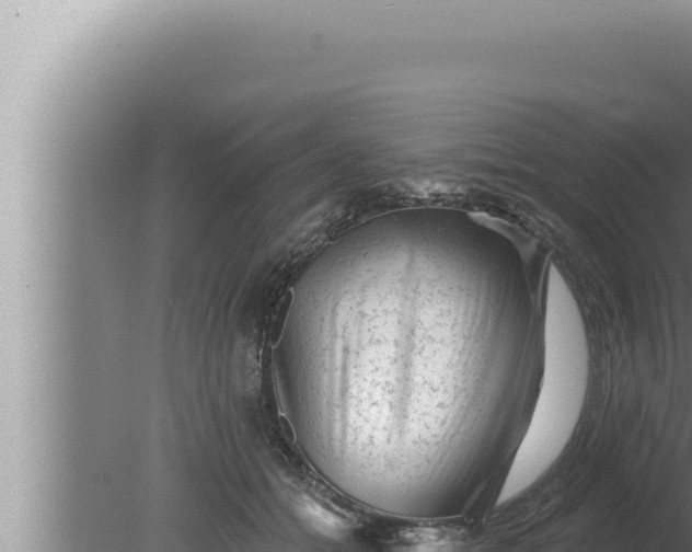 X0000080100558200612221741