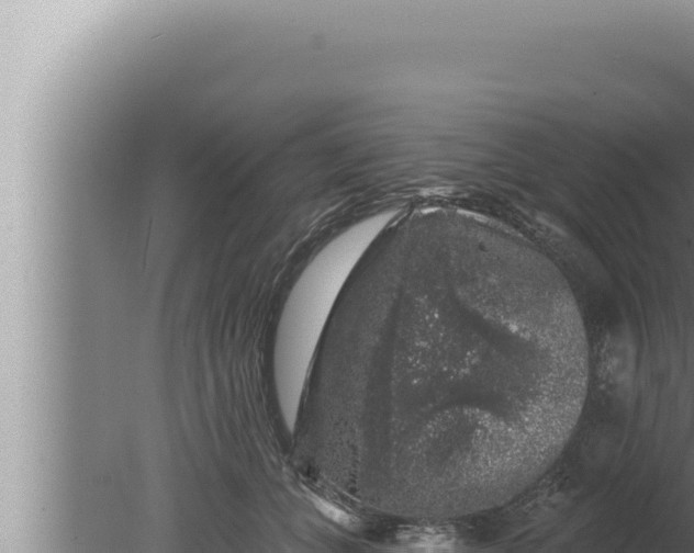 X0000080100559200612221741