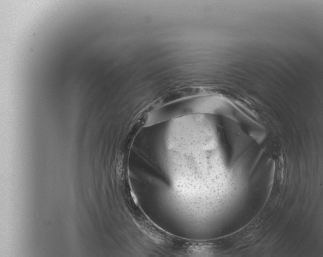 X0000080100560200612221741