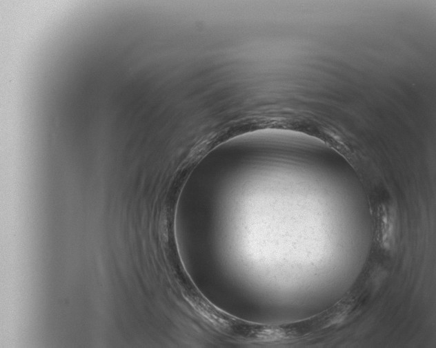 X0000080100562200612221741