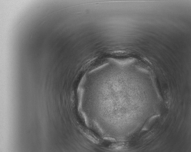 X0000080100563200612221741