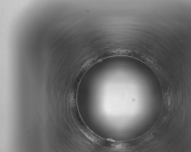 X0000080100564200612221741