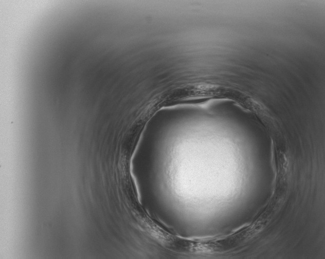 X0000080100565200612221742