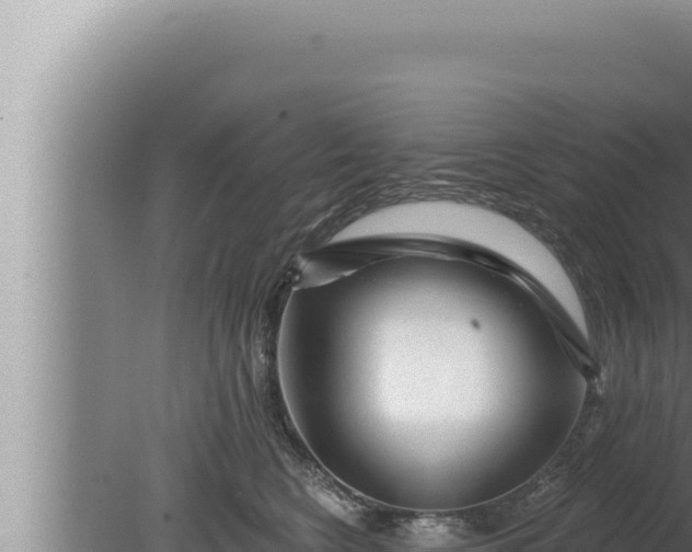 X0000080100566200612221742