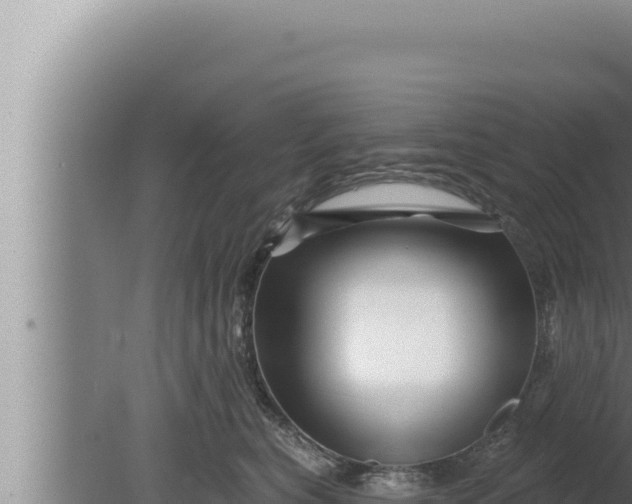 X0000080100567200612221742