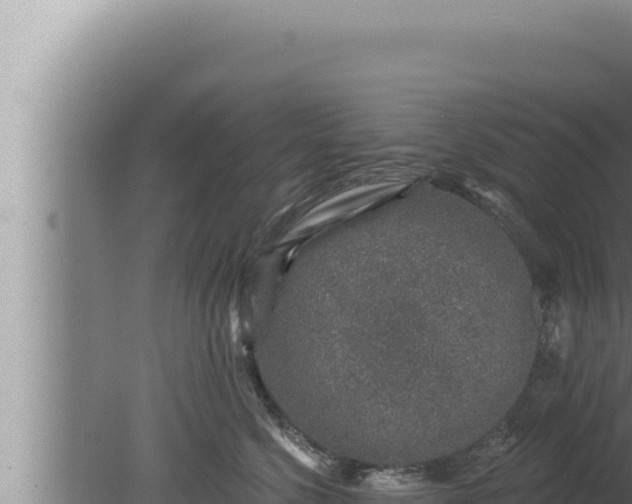 X0000080100568200612221742