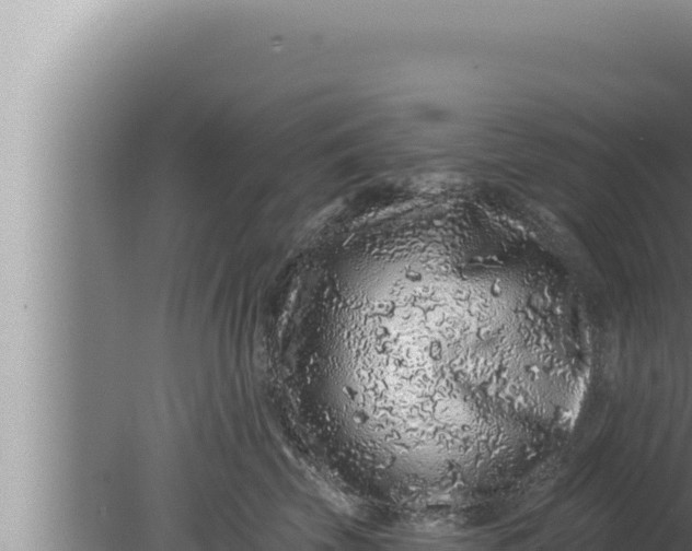 X0000080100569200612221742