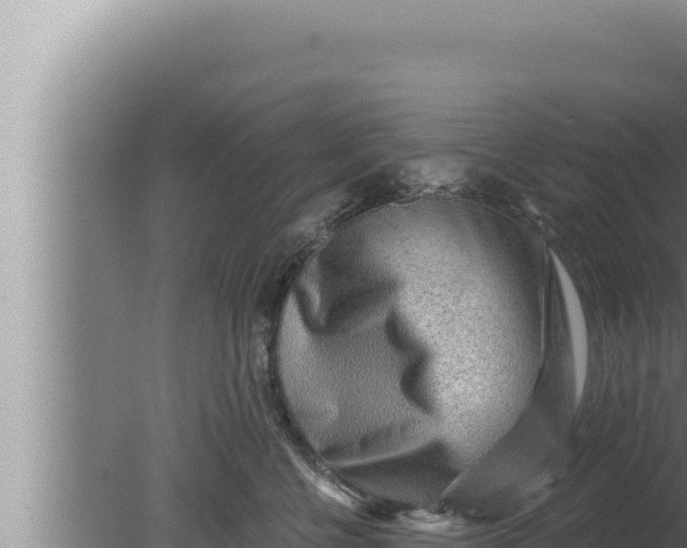 X0000080100570200612221742