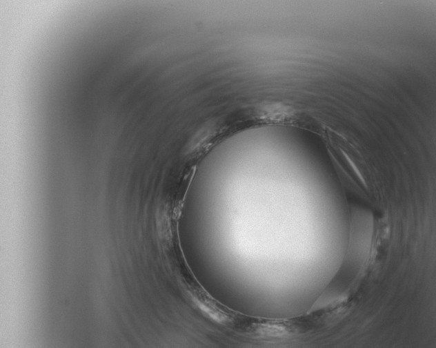 X0000080100572200612221742