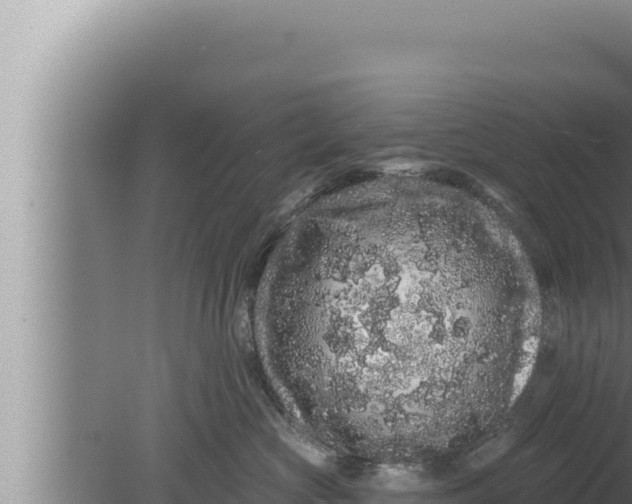 X0000080100573200612221742