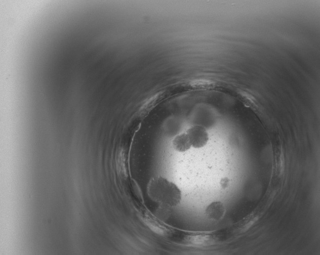 X0000080100575200612221742