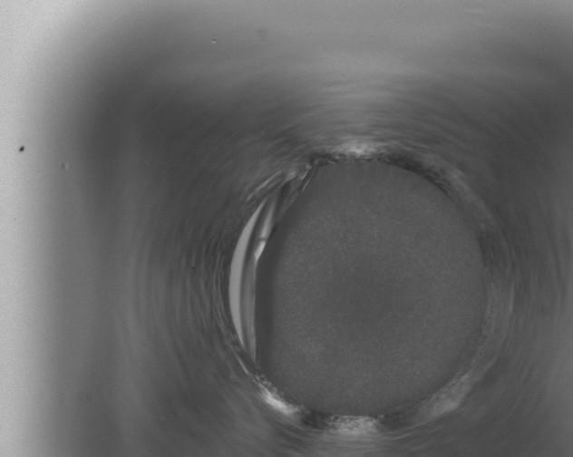 X0000080100576200612221742