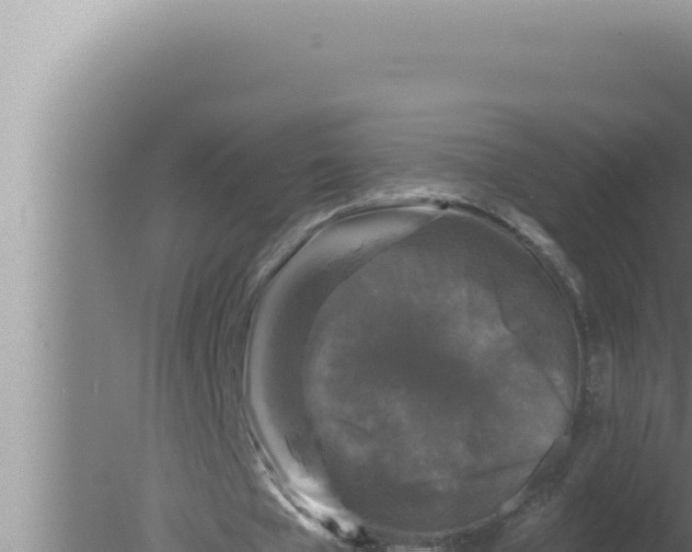 X0000080100577200612221741