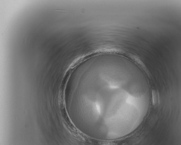 X0000080100579200612221741