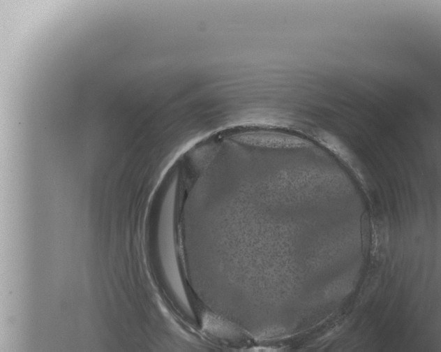 X0000080100580200612221741