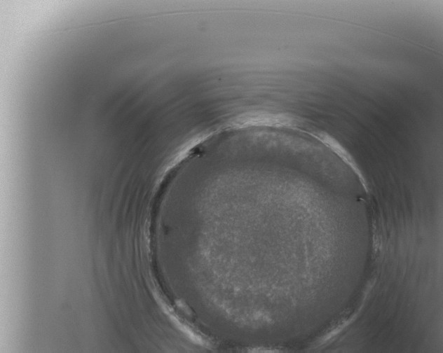 X0000080100581200612221741