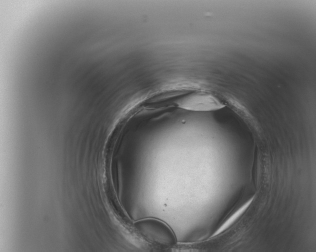 X0000080100582200612221741