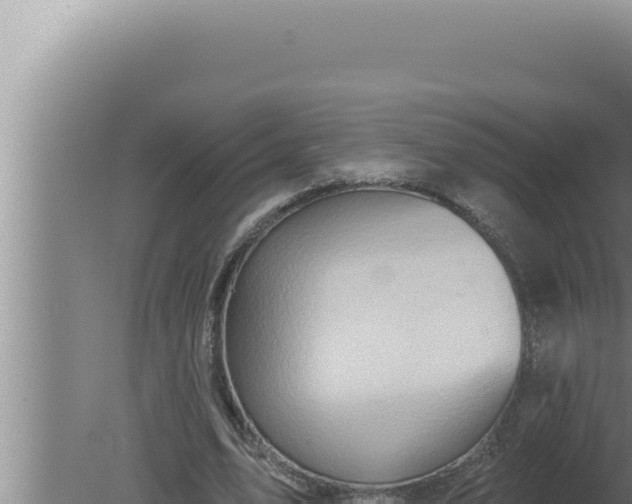 X0000080100583200612221741