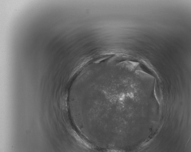 X0000080100585200612221741