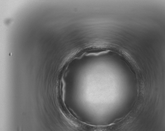 X0000080100586200612221741