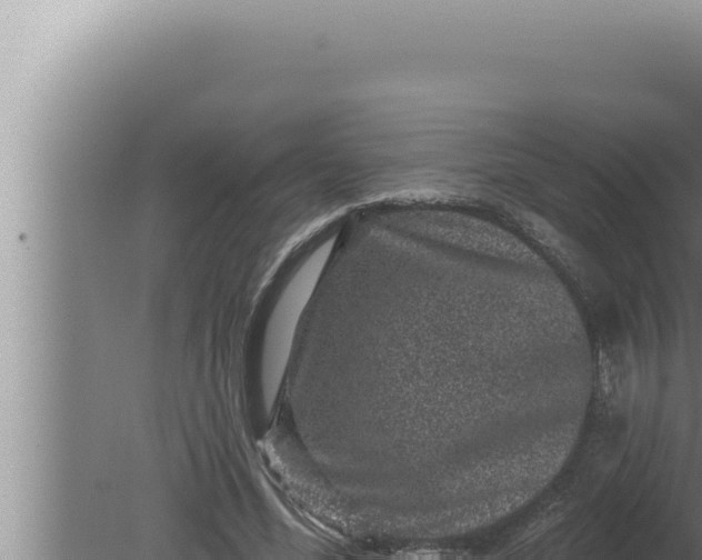 X0000080100588200612221741