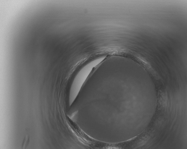 X0000080100590200612221741