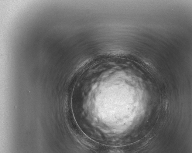 X0000080100591200612221741