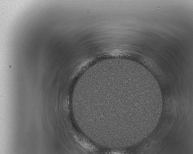 X0000080100592200612221741