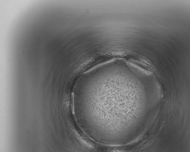 X0000080100593200612221741